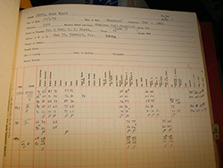 MWP_Exam_Results_1833