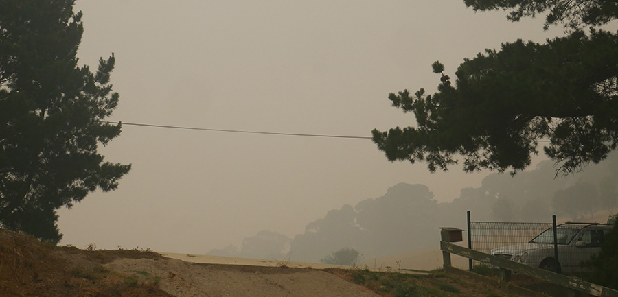 bushfire_smoke1